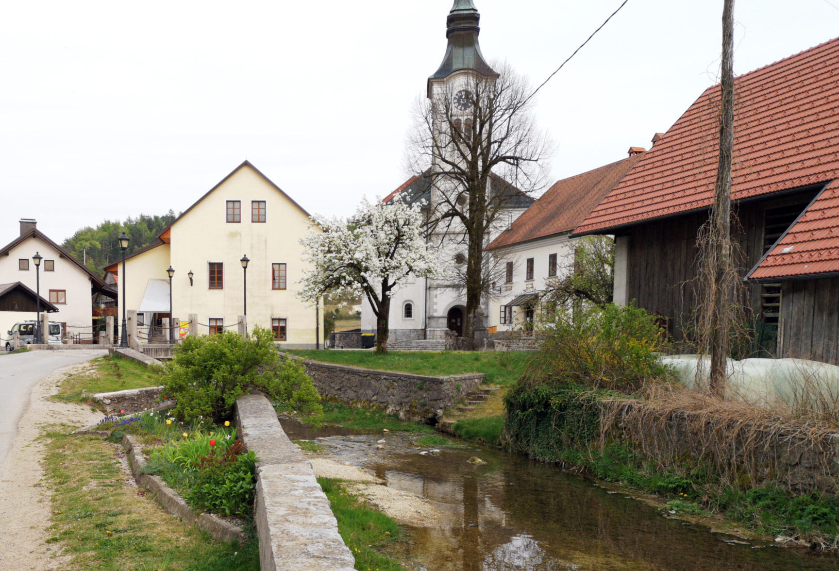 Slide Image