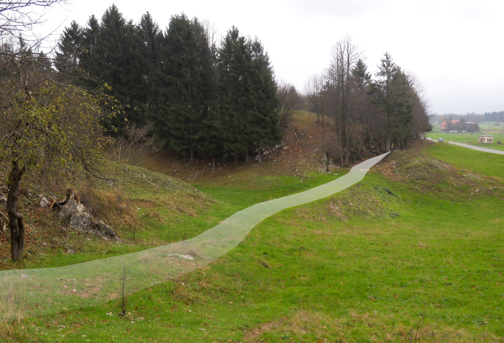 Slide Image
